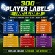 2026 Fantasy Football Draft Kit – Choose 10, 12 or 14 Team Board with 300 Player Labels